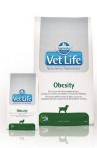 Immagine di OUTLET PROMO Farmina VET LIFE OBESITY 12 Kg