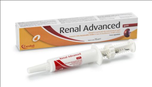 Immagine di NON PUBBLICATO Renal Advanced gatti pasta appetibile 15ml per il supporto della funzionalità renale GATTO