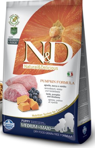 Farmina Grain Free Pumpkin Formula Agnello e Zucca cane cucciolo  Puppy Medium Maxi 12 KG