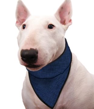 Immagine di AQUA COOLKEEPER PET BANDANA REFRIGERANTE PACIFIC BLU TG 07 M COLLO DA 42 A 50 CM