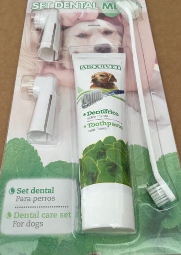 SET CURA DENTALE PER CANI ALLA MENTA DENTIFRICIO SPAZZOLINI E MASSAGGIA GENGIVE