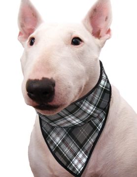 Immagine di PET BANDANA REFRIGERANTE SCOTTISH GREY TG 11 XL COLLO DA 61 A 68 CM AQUA COOLKEEPER