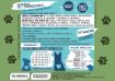 Immagine di SFUSO PETFORMULA CERVO SALMONE ADULTO GRAIN FREE 2 KG 