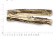 Immagine di PELLE DI MERLUZZO CONFEZIONE da 200 gr  12 Barrette da 25 Cm CADAUNA