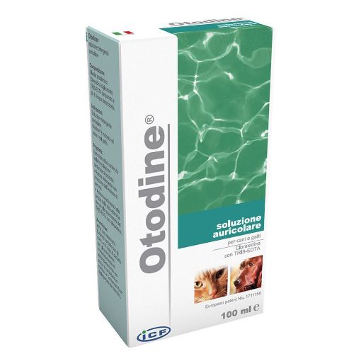 OTODINE 100 ML - SOLUZIONE AURICOLARE