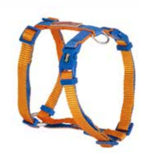 PETTORINA AD H CAMON ARANCIO/BLU DoublePremium  circonferenza 35~60 cm