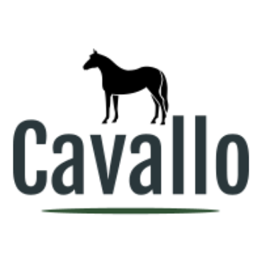 Immagine per la categoria CAVALLO