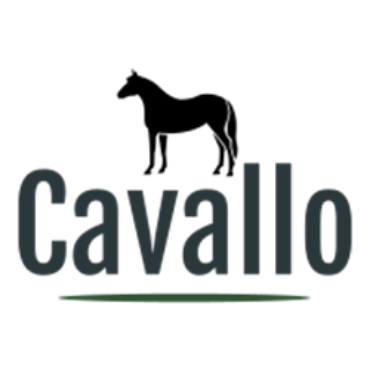 Immagine per la categoria al CAVALLO