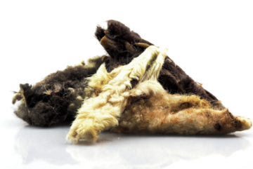 BEST 6/8 ORECCHIE DI OVINO AGNELLO CON PELO CONFEZIONE 100 GRAMMI SNACK PER LA MASTICAZIONE