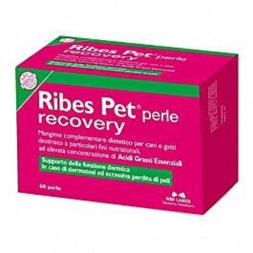 Ribes pet perle recovery 60 PERLE pelo/muta del cane