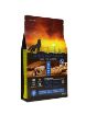 AMBROSIA PETFOOD AGNELLO E SALMONE CANE ADULTO 12 KG GRAIN FREEi
