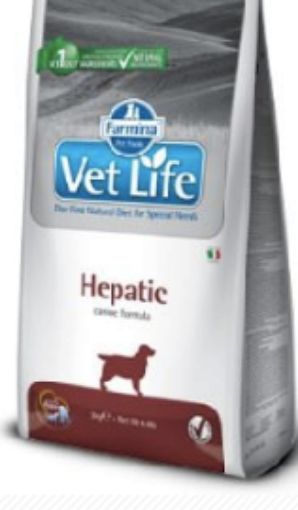 Immagine di OUTLET DANNEGGIATO Farmina VET LIFE HEPATIC 12kg 