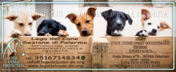 donazione cibo per   Rifugio del Cane Abbandonato della Favorita