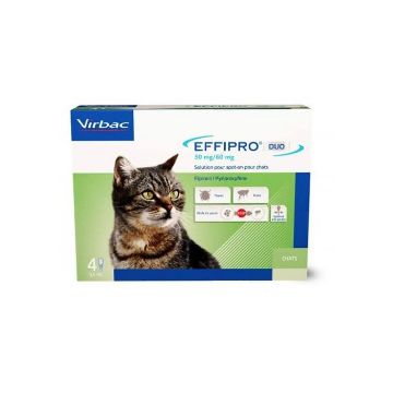 EFFIPRO DUO GATTO (4 PIPETTE)  50/60MG - TOPSELLER