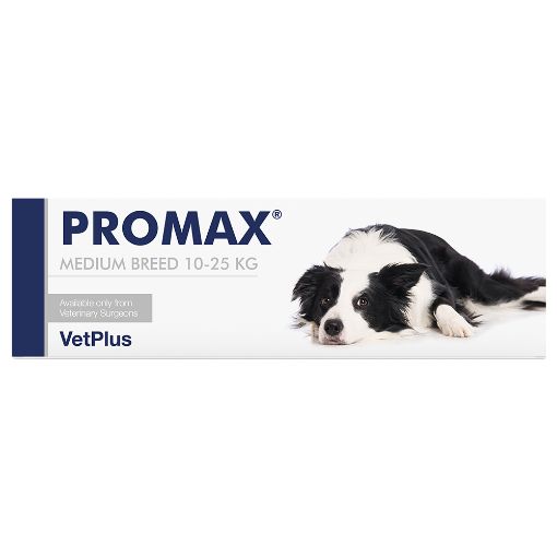 PROMAX  10-25 KG MEDIUM BREED PROBLEMI INTESTINALI