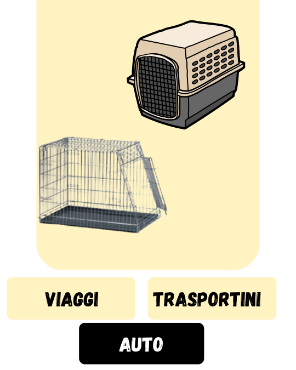 Immagine per la categoria TRASPORTINI SOFFIATORI