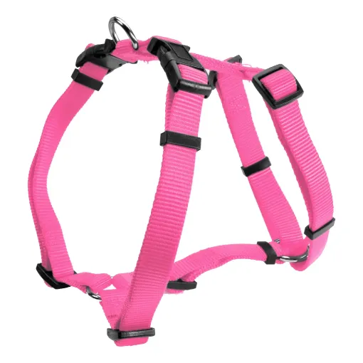 68~84 cm ROSA PETTORINA AD H CAMON F027 