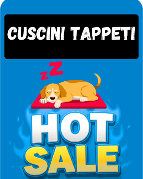 Immagine per la categoria HS- CUSCINI TAPPETI