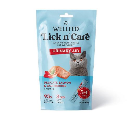  SNACK CREAMY URINARY SALMONE LICK&CARE 6 X 15 GR WELLFED